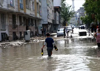 ‘Çoklu hücre’ Bursa ve İstanbul’u yıktı geçti