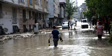 ‘Çoklu hücre’ Bursa ve İstanbul’u yıktı geçti