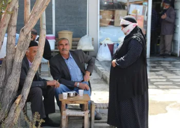 Vartoda Di̇lenci̇ler Yeni̇den İşbaşında