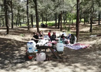 Kısıtlamasız ilk haftasonunda piknik yerleri doldu