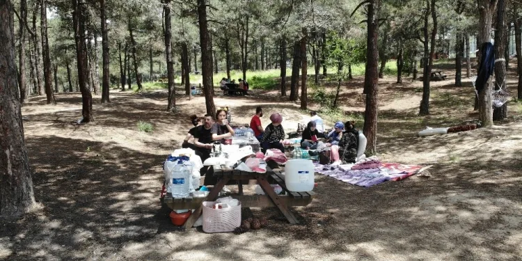 Kısıtlamasız ilk haftasonunda piknik yerleri doldu
