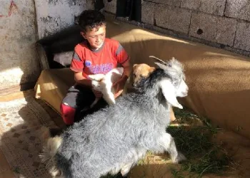 Bremen Mızıkacıları hikayesi Kars’ta gerçek oldu