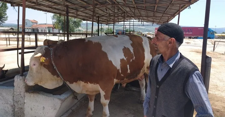 25 bin liraya satıldı!
