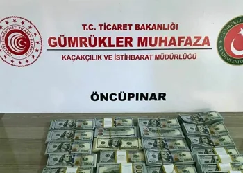 Suriye’ye kaçırılmak istenen 300 bin dolar ele geçirildi