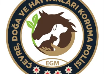 Çevre, Doğa, Hayvan Koruma Şube Müdürlüğü kuruldu