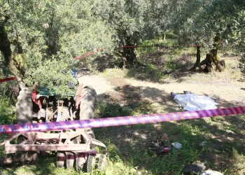 Bursa’da devrilen traktörün altında kalarak can verdi