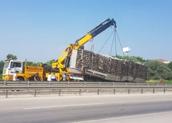 Bursa’da tavuk yüklü kamyon devrildi!
