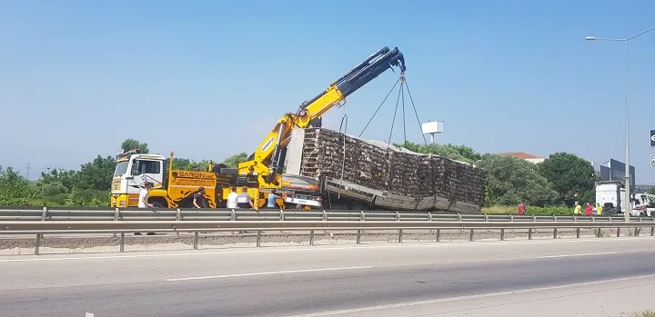 Bursa’da tavuk yüklü kamyon devrildi!
