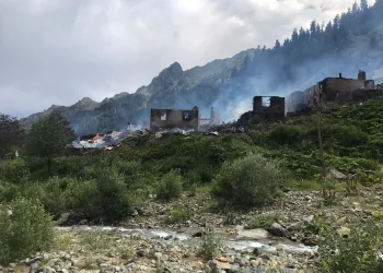 Artvin’de çıkan yangın kontrol altına alındı