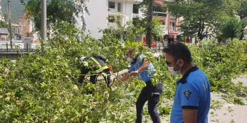 Gemlik’te rüzgarda devrilen ağaçlar yolu kapattı