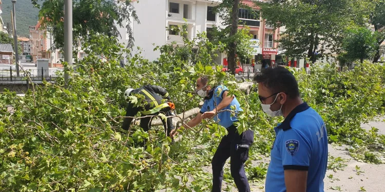 Gemlik’te rüzgarda devrilen ağaçlar yolu kapattı