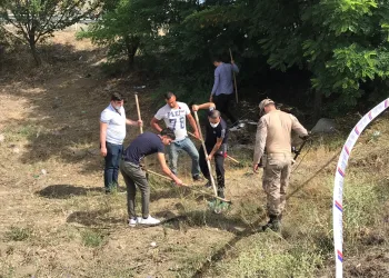 Kaza sonrası tarlaya saçılan külçe altınlar aranıyor