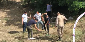 Kaza sonrası tarlaya saçılan külçe altınlar aranıyor