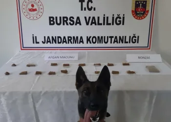 Bursa’da evinde 635 gram uyuşturucuyla yakalandı