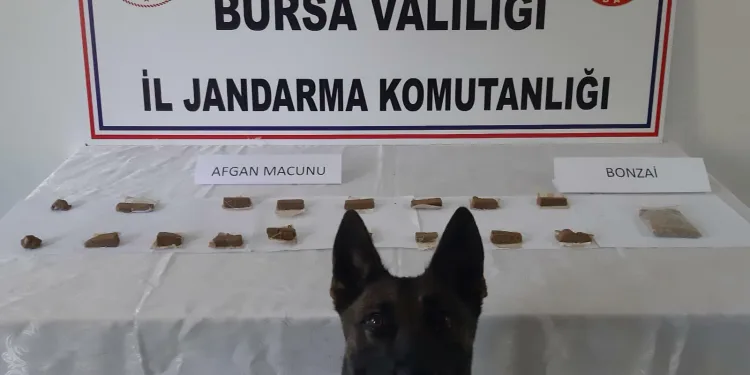 Bursa’da evinde 635 gram uyuşturucuyla yakalandı