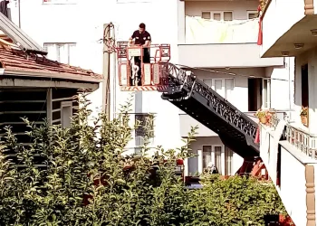 Çatıya sıkışan ebabil kuşunu itfaiye kurtardı