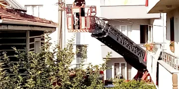 Çatıya sıkışan ebabil kuşunu itfaiye kurtardı