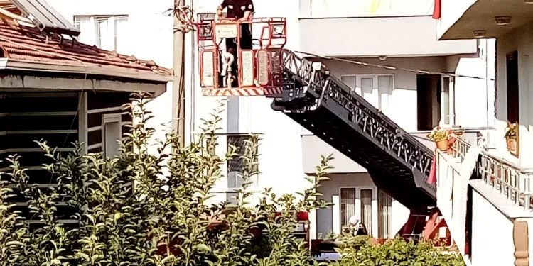 Çatıya sıkışan ebabil kuşunu itfaiye kurtardı