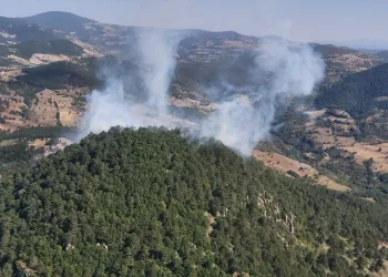 Bursa’da Büyükorhan’da orman yangını!