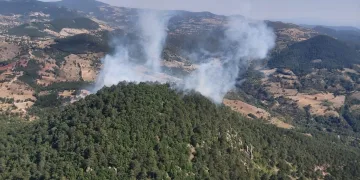 Bursa’da Büyükorhan’da orman yangını!
