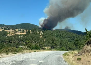 Çanakkale’de orman yangını!