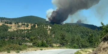 Çanakkale’de orman yangını!