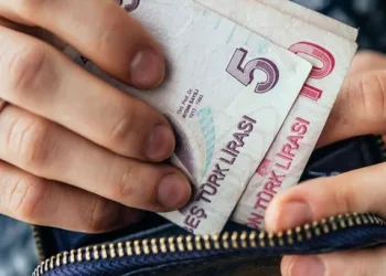 TÜİK hanehalkının tüketim harcamalarını açıkladı