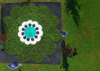 Srebrenica Çiçeği’ yeniden hayat buluyor