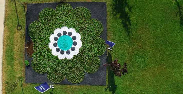 Srebrenica Çiçeği’ yeniden hayat buluyor