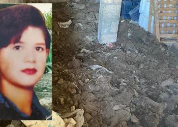 18 yıllık gizem! Çiftlik içinde kemik parçaları bulundu