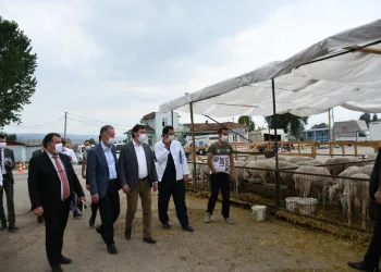 Bursa İnegöl Hayvan Pazarı’ndan hareketlilik başladı