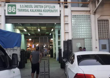 İnegöllü çiftçiler Bursa halinde satışa başladı