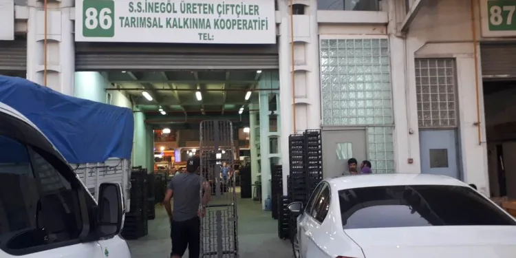İnegöllü çiftçiler Bursa halinde satışa başladı