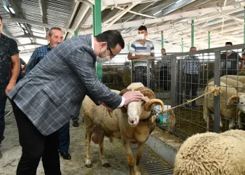 Başkan Kanar hayvan pazarını ziyaret etti