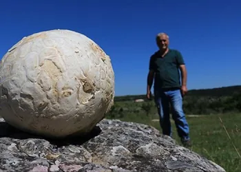 Futbol topu sandı, 5 kiloluk mantar çıktı