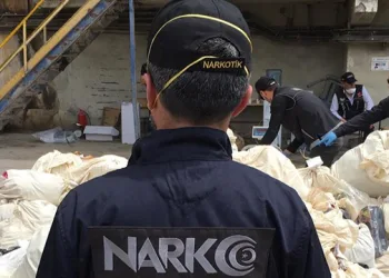 10 milyon kök uyuşturucu ele geçirildi