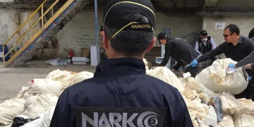 10 milyon kök uyuşturucu ele geçirildi