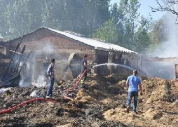 MHP’liler sosyal medya hesaplarını kapatıyor