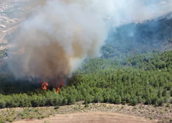 Hatay’da 4 farklı noktada orman yangını