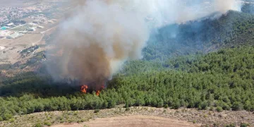 Hatay’da 4 farklı noktada orman yangını