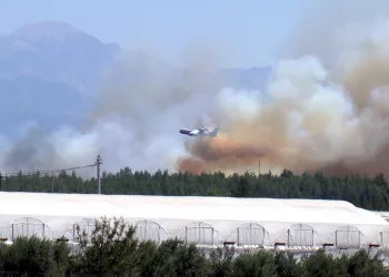 Antalya’da orman yangını! Müdahale sürüyor