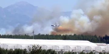 Antalya’da orman yangını! Müdahale sürüyor