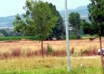 Ata tecavüz eden kişi adli kontrolle serbest kaldı