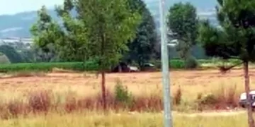 Ata tecavüz eden kişi adli kontrolle serbest kaldı