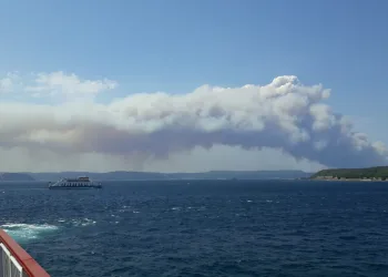 Çanakkale’de orman yangını