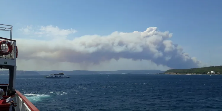 Çanakkale’de orman yangını