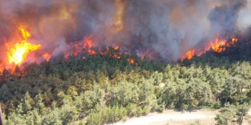 Çanakkale’de orman yangını sürüyor!