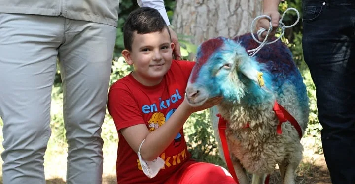 CİMER’den kurbanlık istedi, Bakanlık koç gönderdi