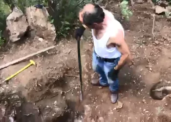 Bursa Kestel’de definecilere jandarmadan suçüstü
