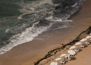 Denizde boğulan çocuğu kurtarmak isteyen 11 kişi boğuldu